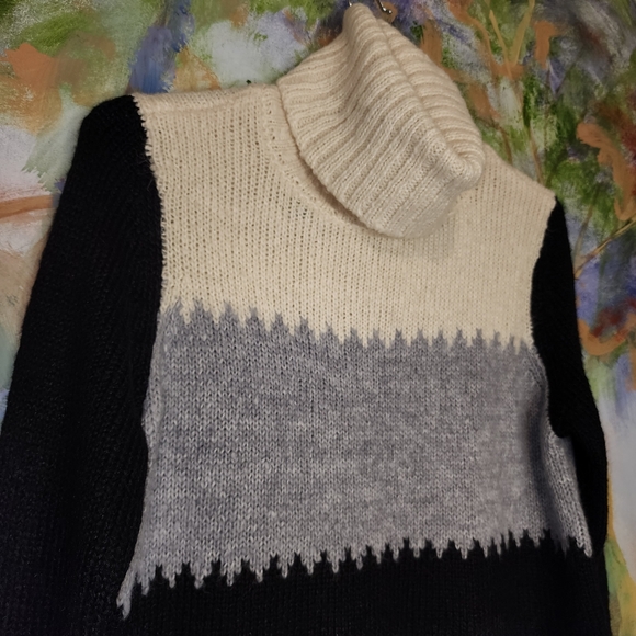 Bass Colorblocked Soft Turtleneck Sweater - Picture 2 of 4